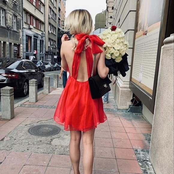 LAST 1️⃣-NWT Zara Mini Organza Dress - Picture 6 of 15